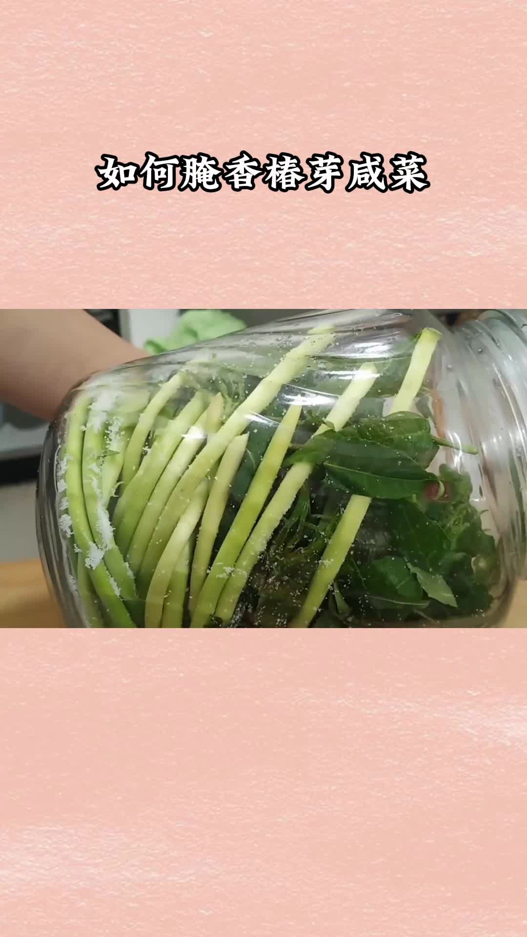 好吃的香椿芽咸菜,一吃就停不下来,太美味了