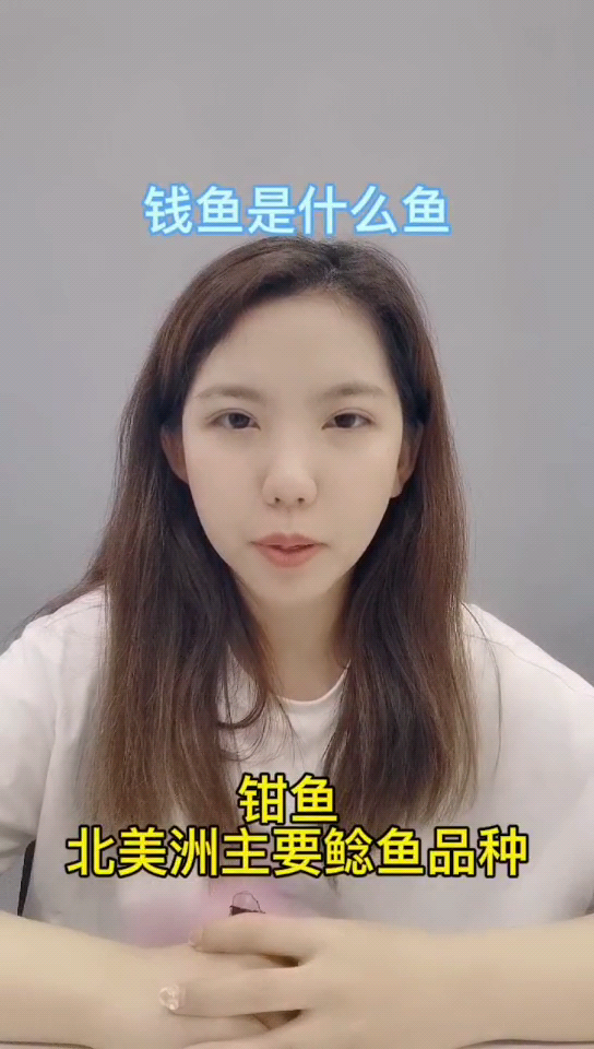 钱鱼是什么鱼   