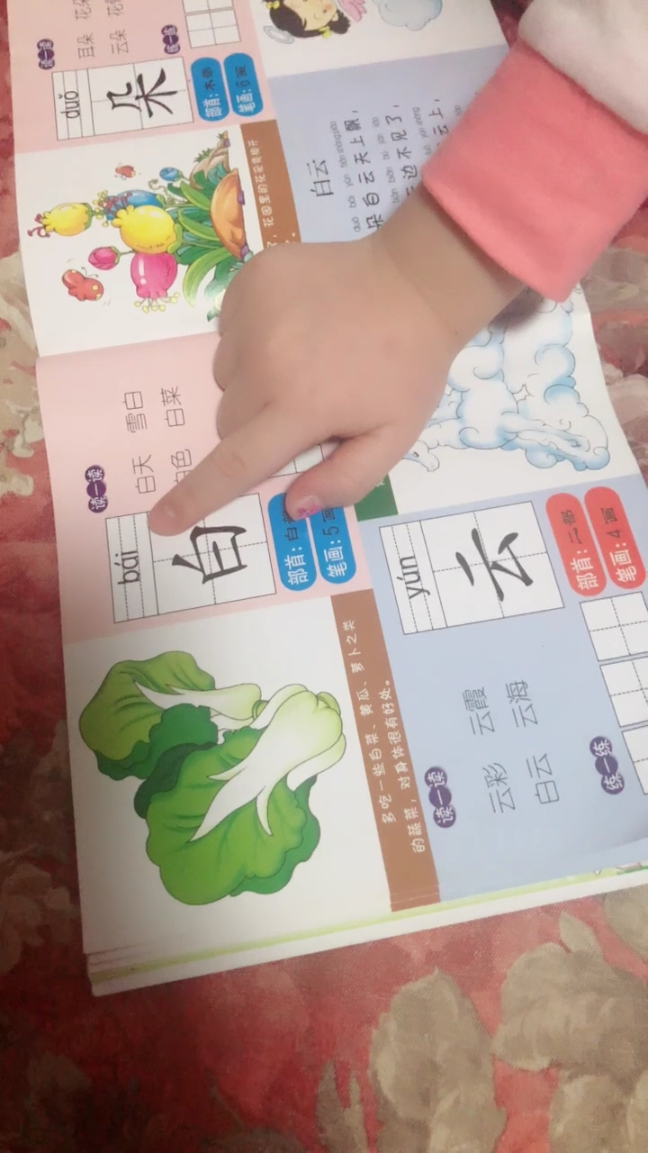 ,花园里的花是开。多吃一些白菜、黄瓜、萝卜之类笔画:5画的蔬菜,对身体很有好处