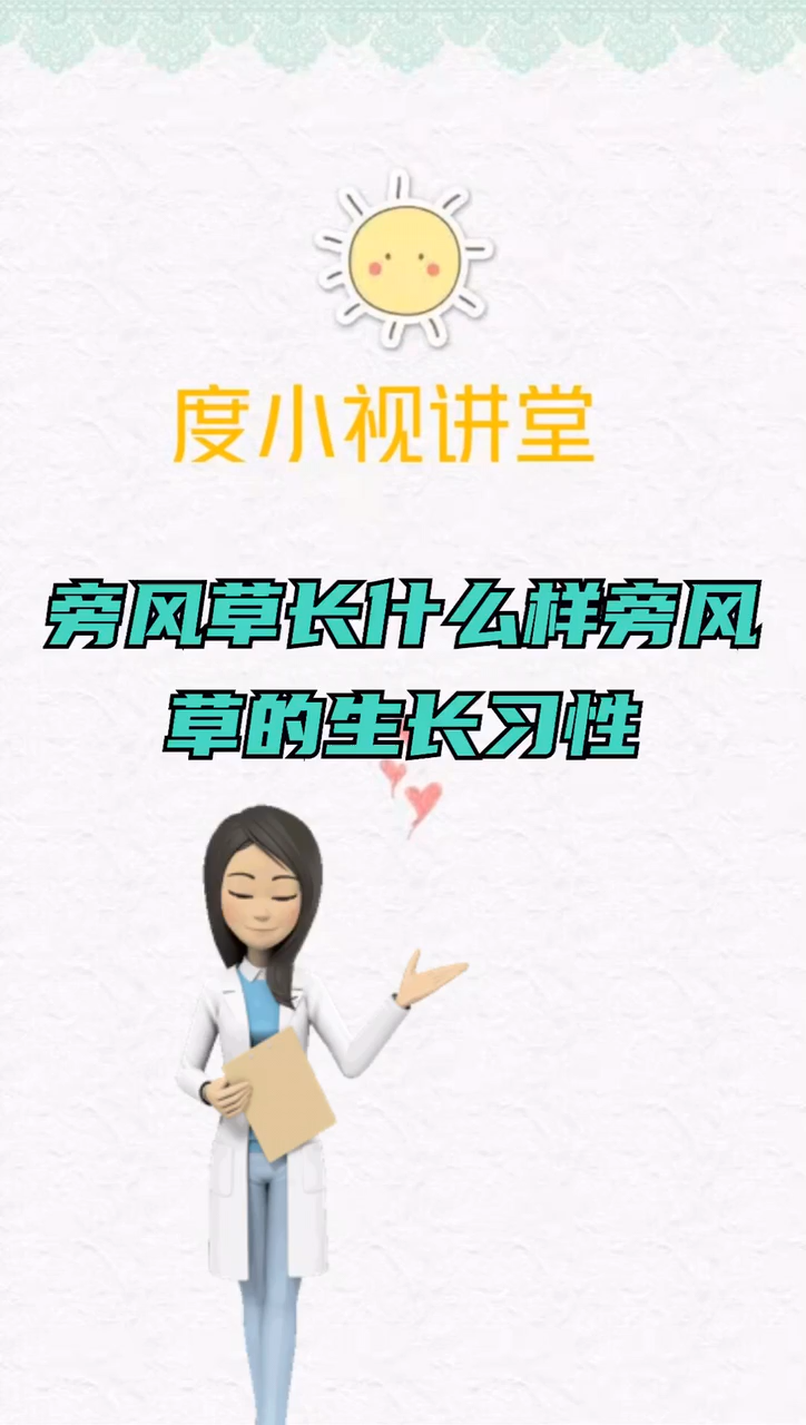 旁风草长什么样 