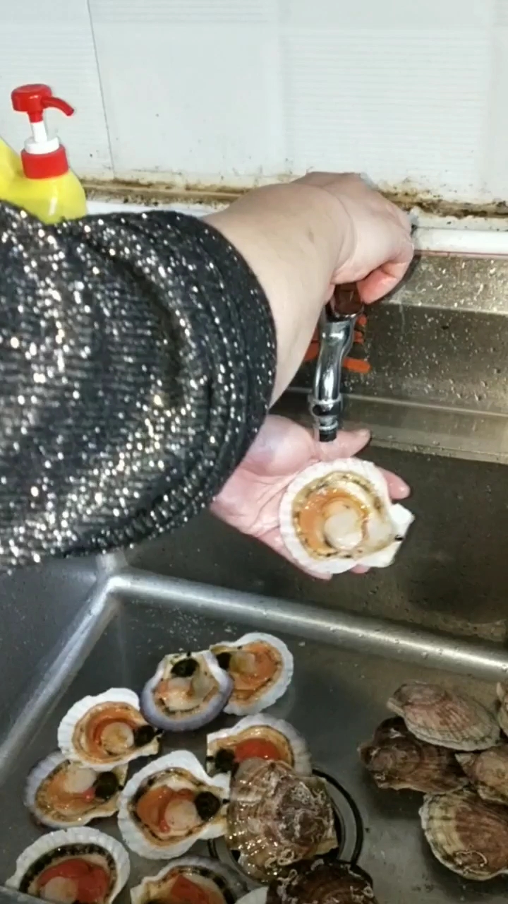清洗扇贝