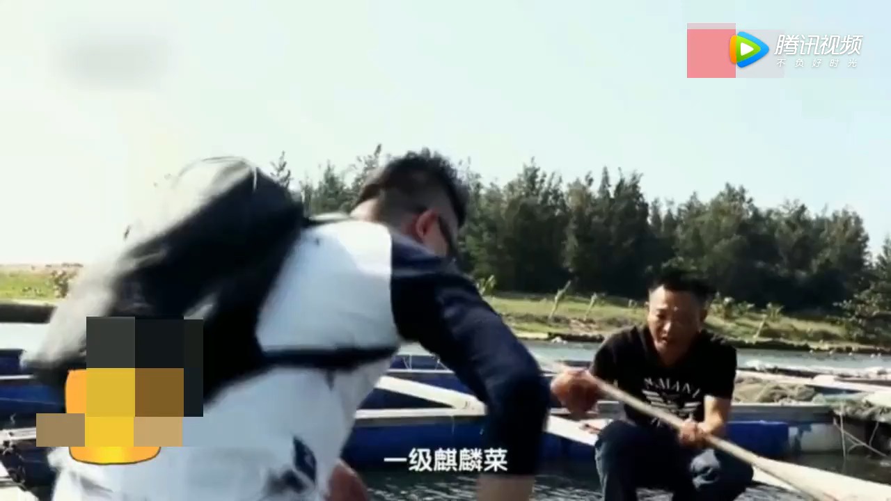 #明星娱乐#一级麒麟菜!它主要生长在我国海南一带,沿海的珊瑚群中