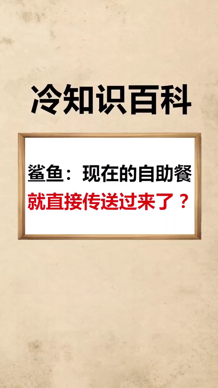 鲨鱼:现在的服务是真的好啊