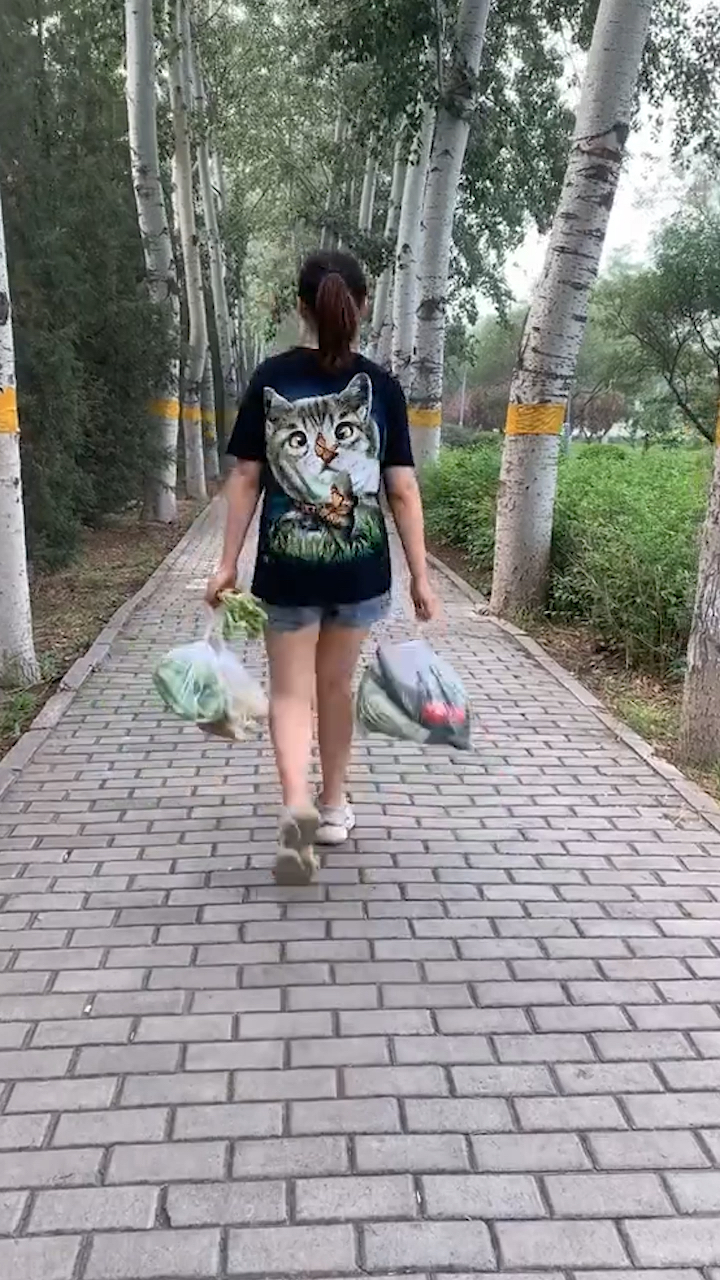 老人买菜手拉车