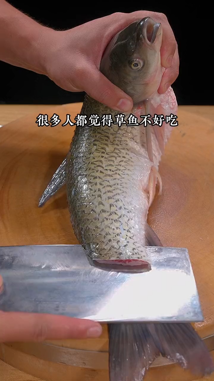 #美食#很多人都觉得草鱼不好吃,那你就试下这道紫苏酱焖草鱼,香辣下饭。