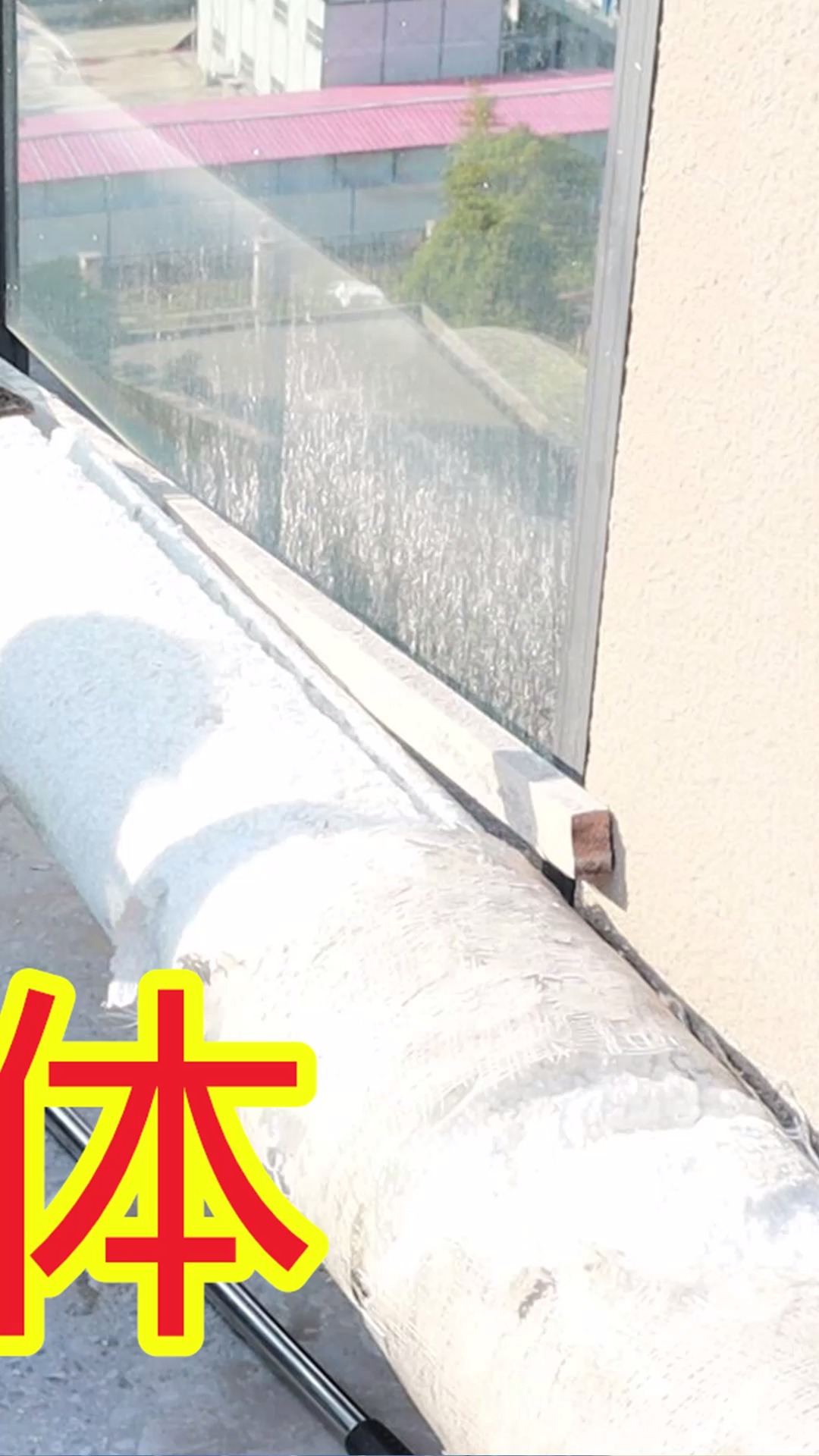 168块钱买的火鸡,叫声像狗一样,这次终于见到真的了