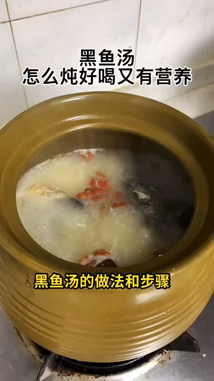 黑鱼汤的做法和步骤