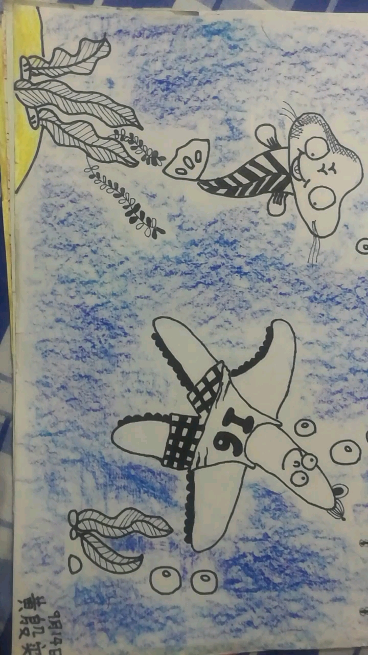 海底总动员