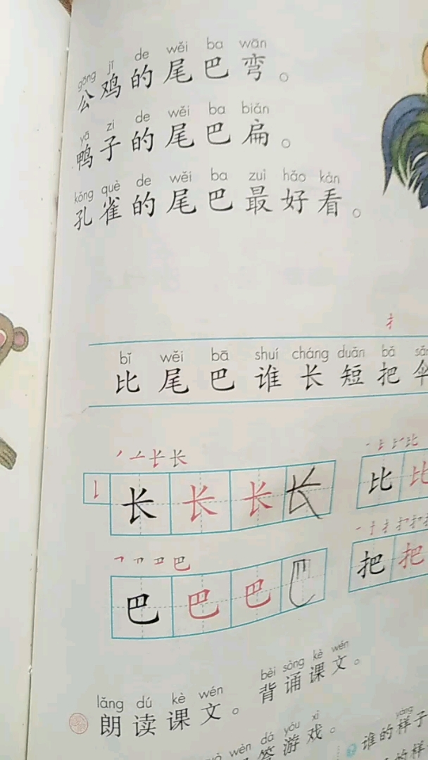 比尾巴