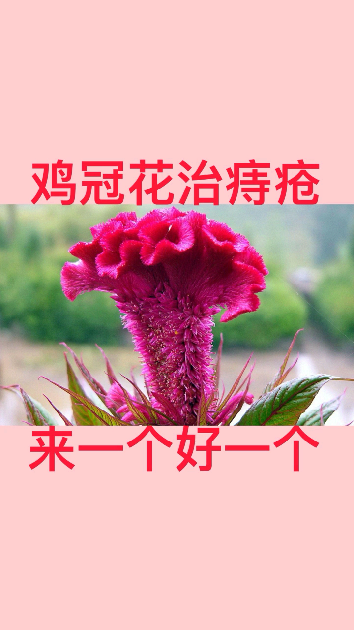#养生保健#