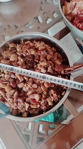 肉食鸡养了一年有多大!