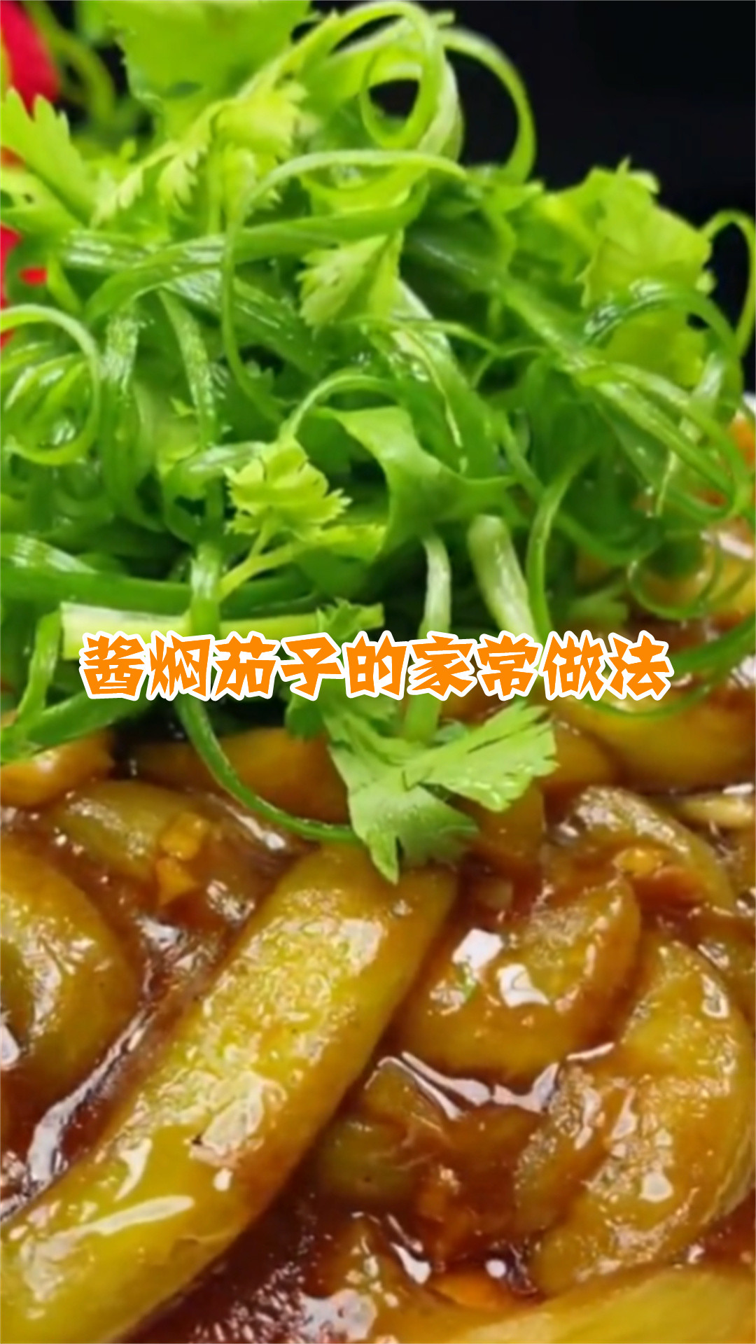 酱焖茄子的家常做法