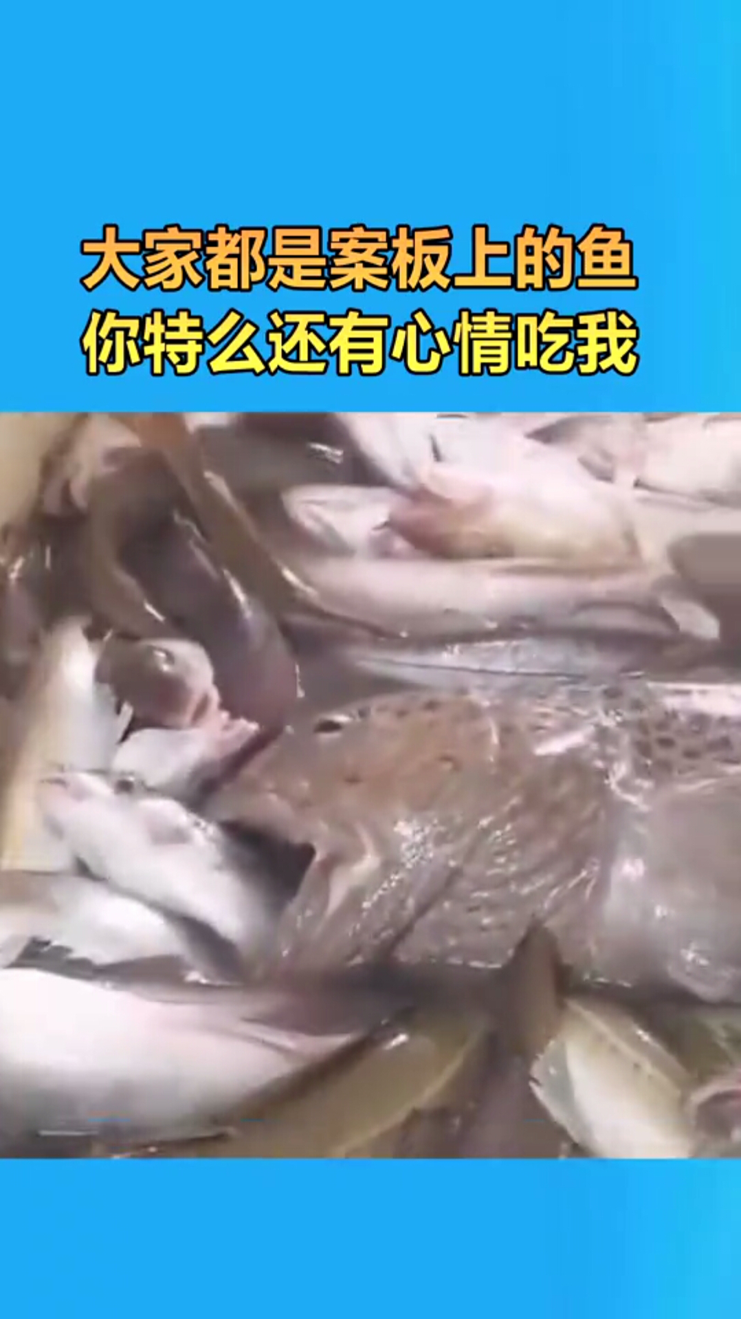 大家都是案板上的鱼,你还有心情吃我