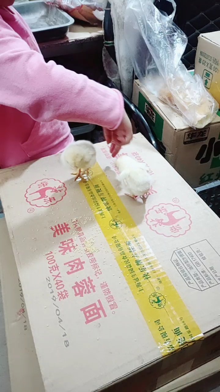 品或标记,谨防假冒美味肉蓉面100克X40袋
