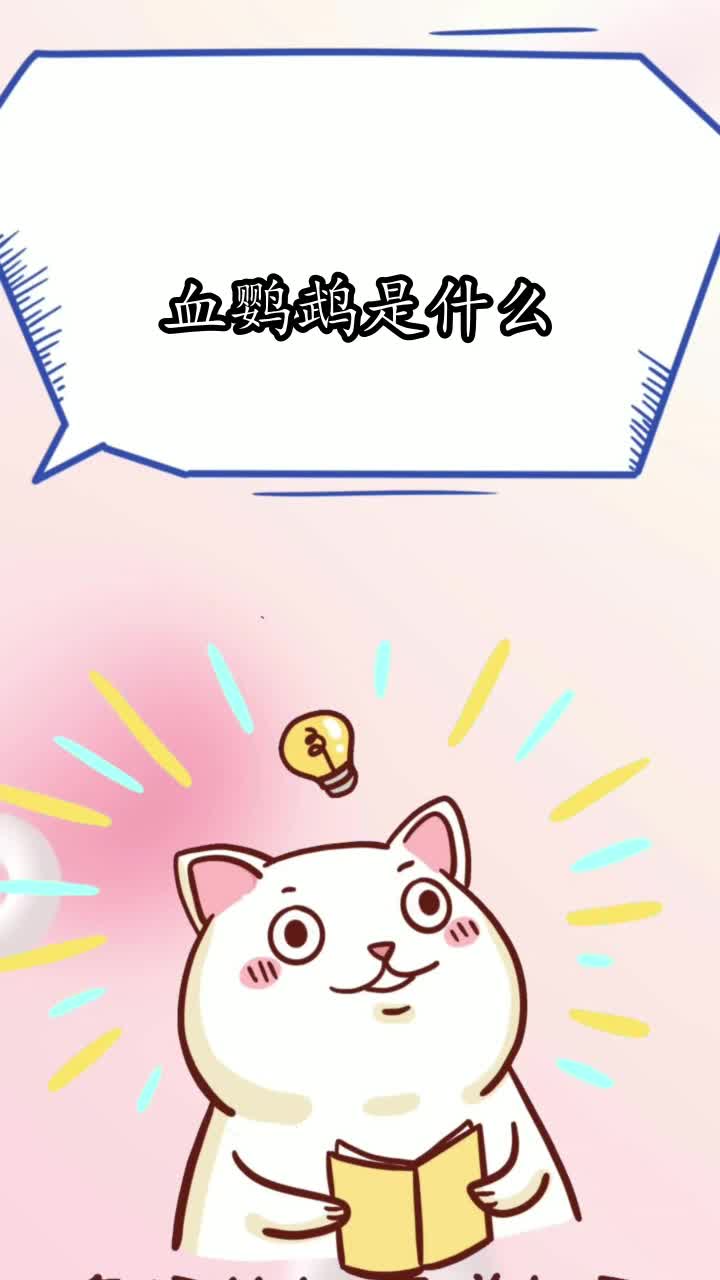 血鹦鹉是什么,你知晓了吗