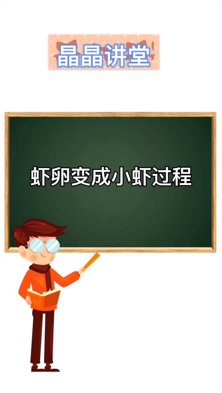 虾卵变成小虾的过程