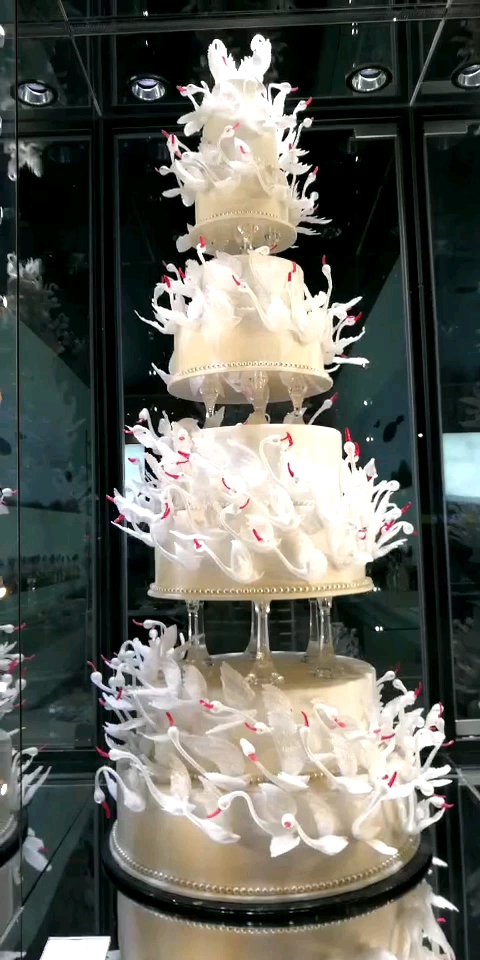 重点是蛋糕