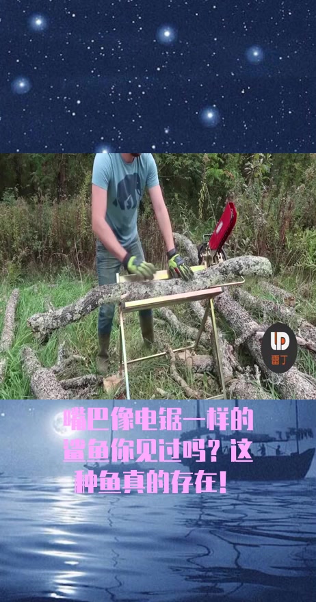 #社会奇闻#嘴巴像电锯一样的鲨鱼你见过吗?这种鱼真的存在!