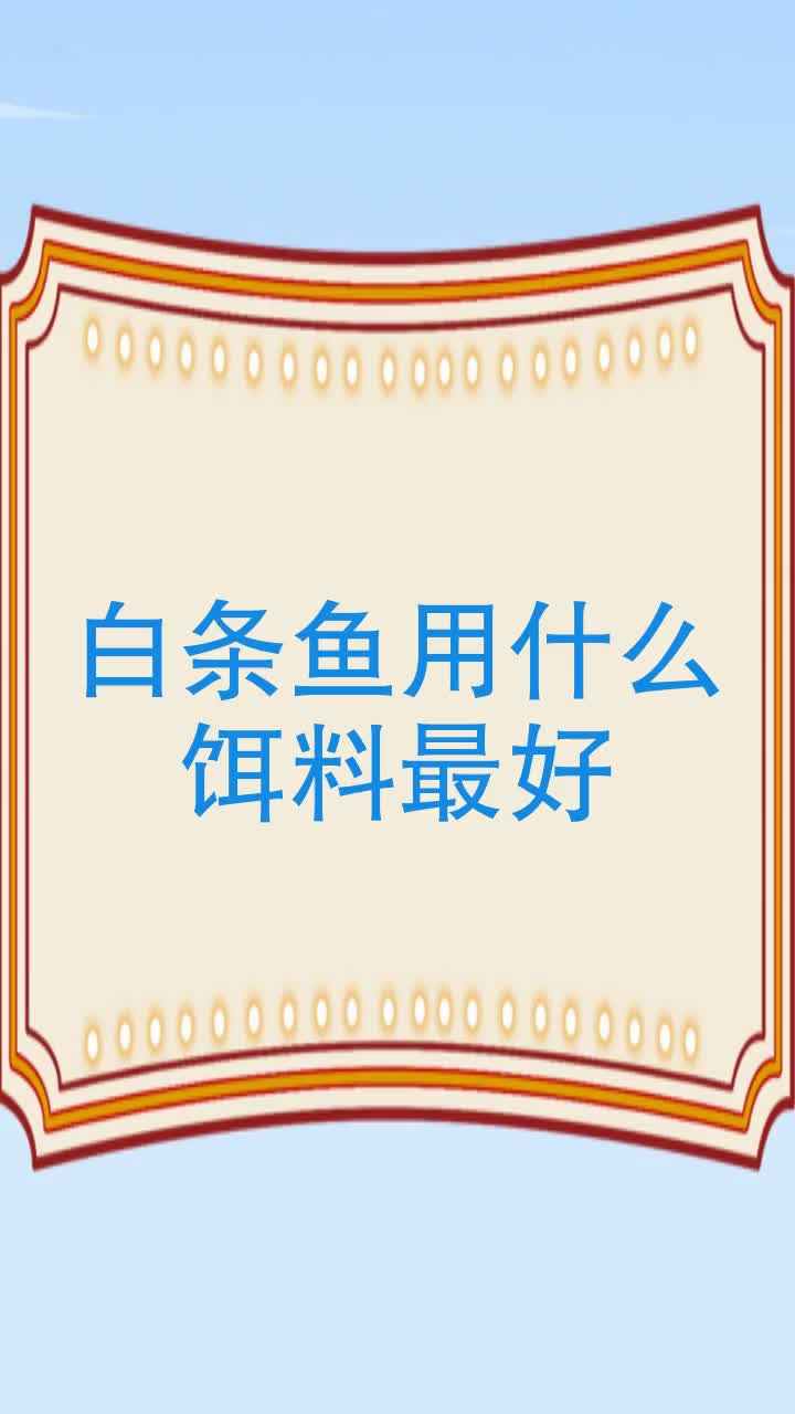 白条鱼用什么饵料最好