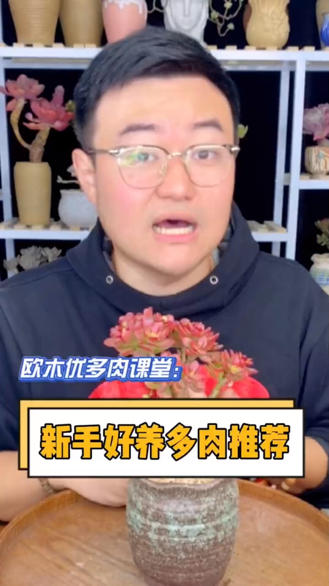 #有一种可爱叫多肉!#新手适用,皮实耐养又好看的多肉有哪些?今天给大家盘点一下,学会的点赞