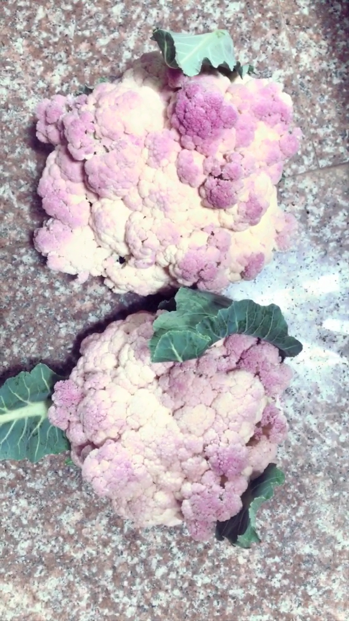 你没见过的紫色菜花!
