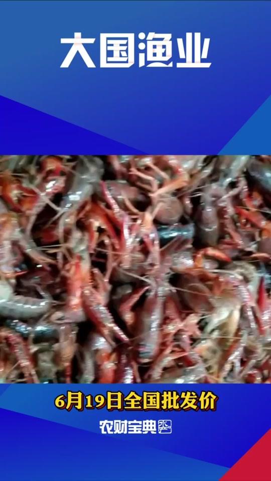 稻虾结束,小龙虾价大涨