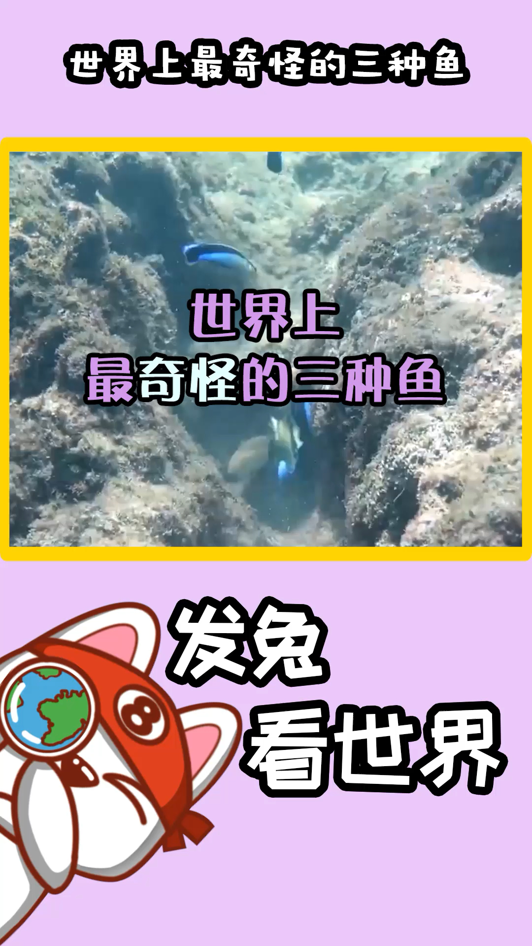 这三种鱼一个不怕冷,一个会喷火,还有一个会治病,真是太神奇