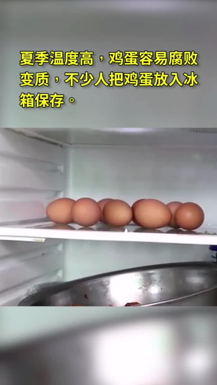 夏季天气炎热,鸡蛋容易腐败变质,放冰箱保存就安全吗小心鸡蛋表面的致病菌!食品安全鸡蛋鸡蛋储