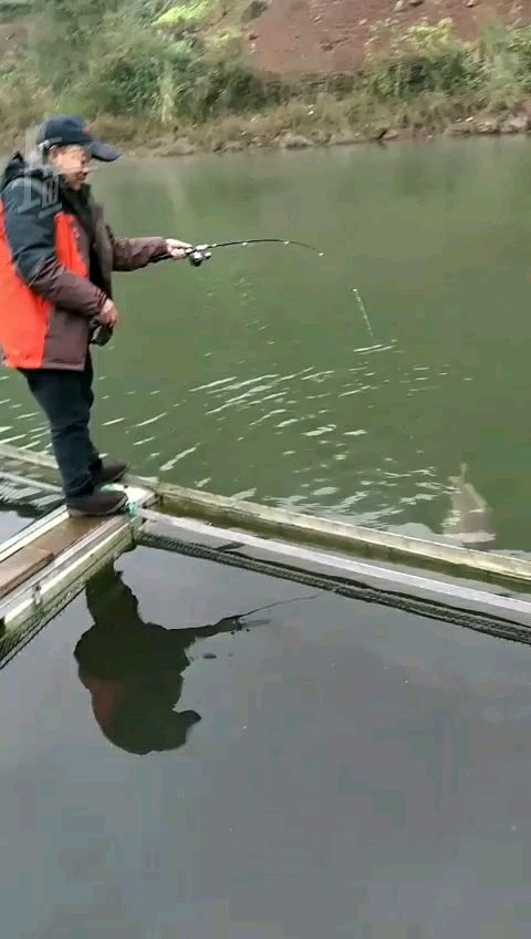 五强溪筏钓大鲤鱼