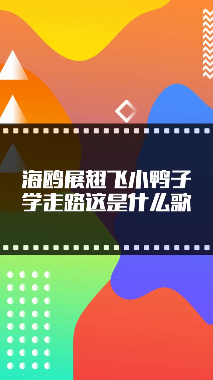 海鸥展翅飞小鸭子学走路这是什么歌