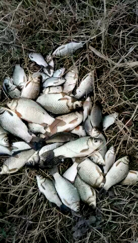 猜猜大的有多重?猜中了送他