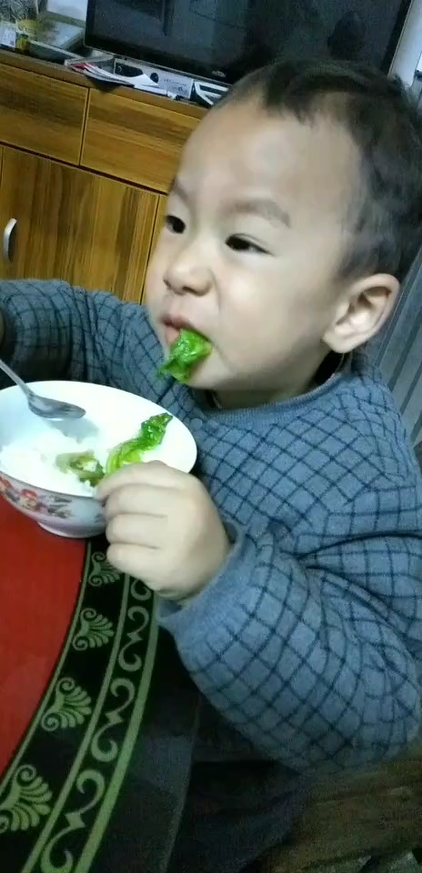 爱吃青菜的小可爱