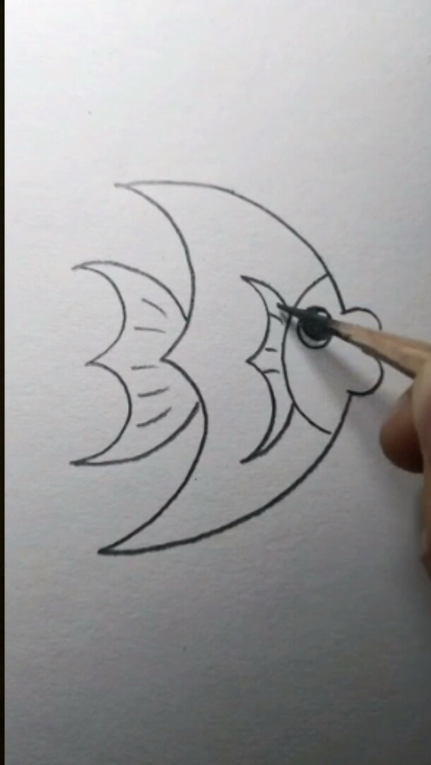 #音为有你#简笔画  4个3画条鱼
