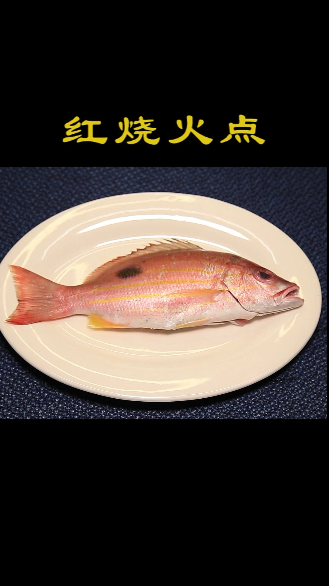 这几天有点忙,更新慢了点,不过我会用心吃鱼的