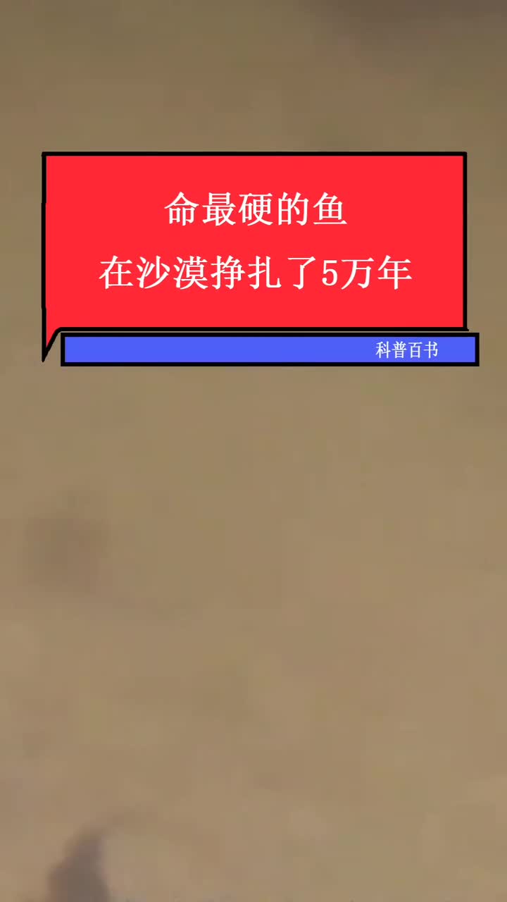 沙漠里竟然还有活了五万年的鱼,到底长什么样子_