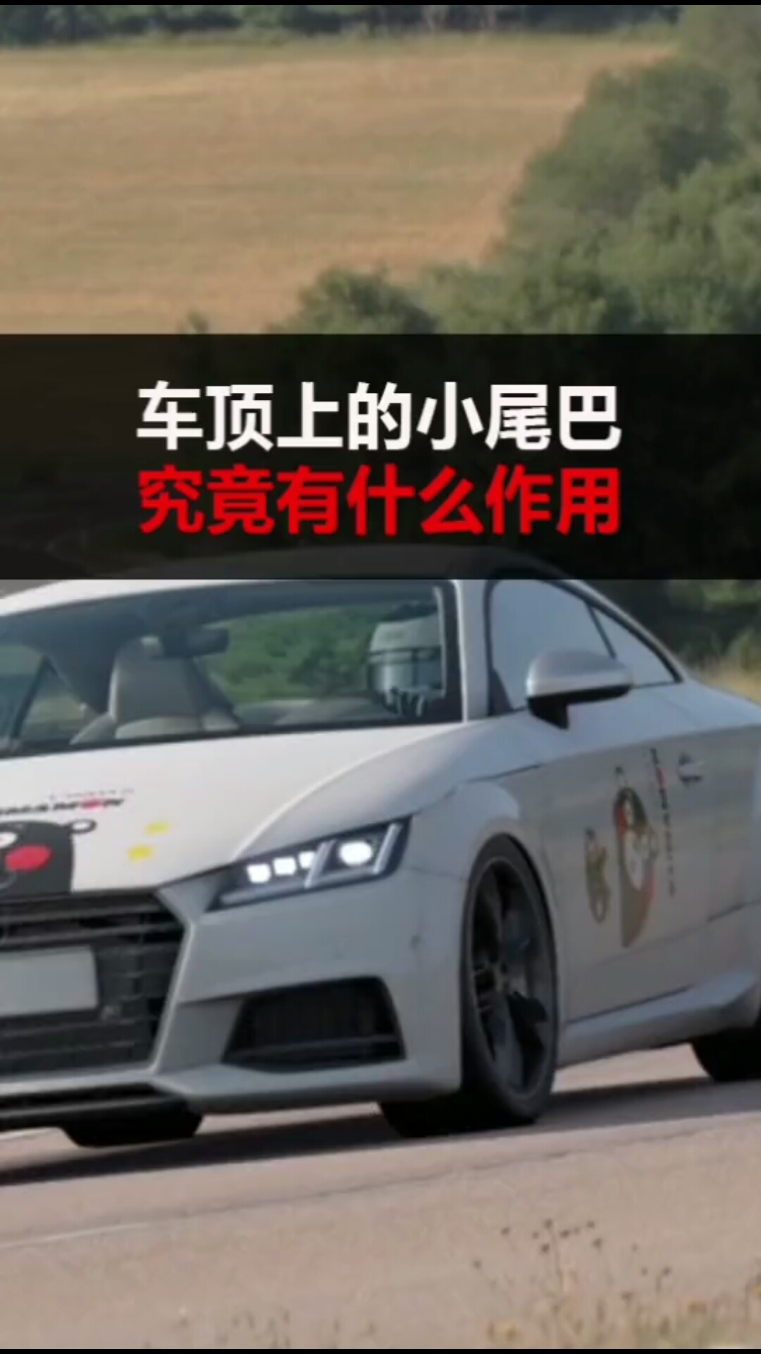 车顶上的小尾巴究竟有什么用?