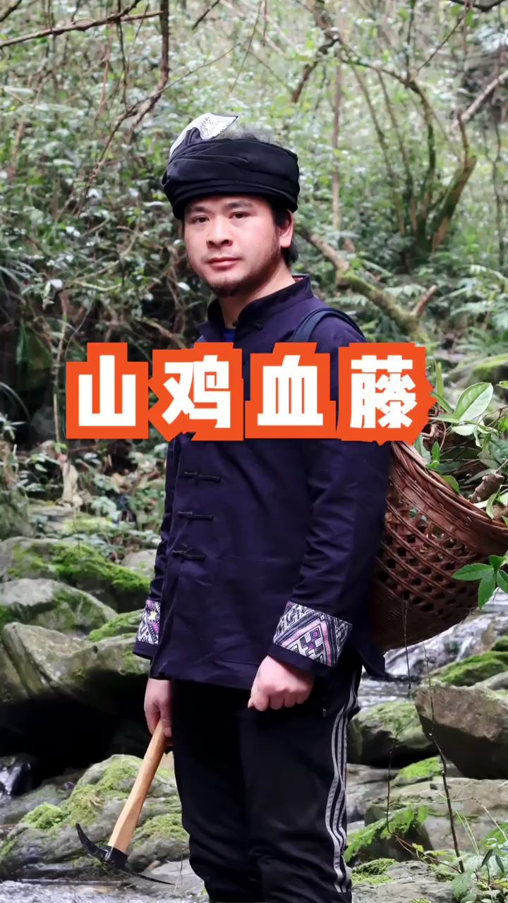 #认识中草药#山鸡血藤民间常用草药,可补血强筋,你认识吗