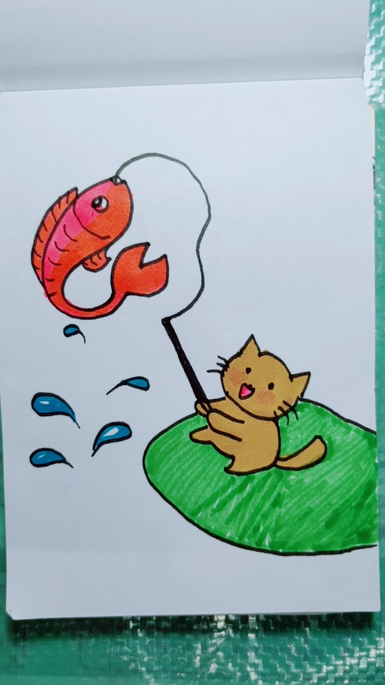 #夏天就要这么过#小猫钓鱼