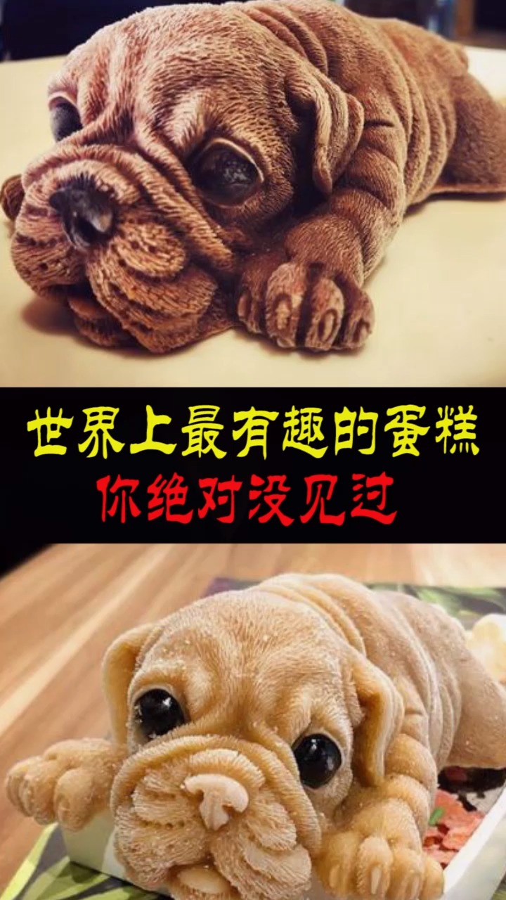 世界上最有趣的蛋糕,你绝对没见过