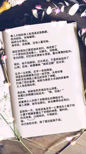 小说