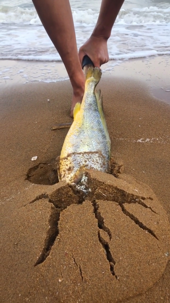 喜欢大海抓海鲜帮忙点赞加关注