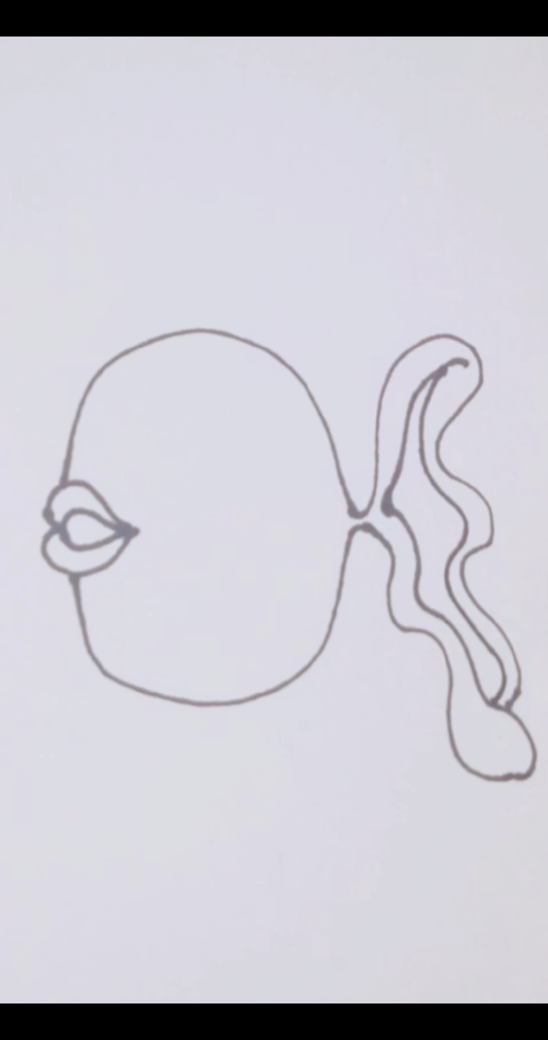 #我要上热门#简笔画可爱金鱼,大眼睛厚嘴唇,我是不是很性感