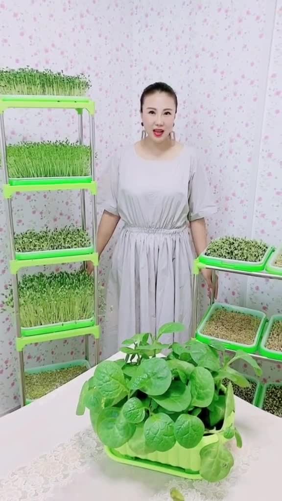 水培芽苗菜不是只有绿豆芽,黄豆芽,有20几种呢!在家自来水种菜7天收割
