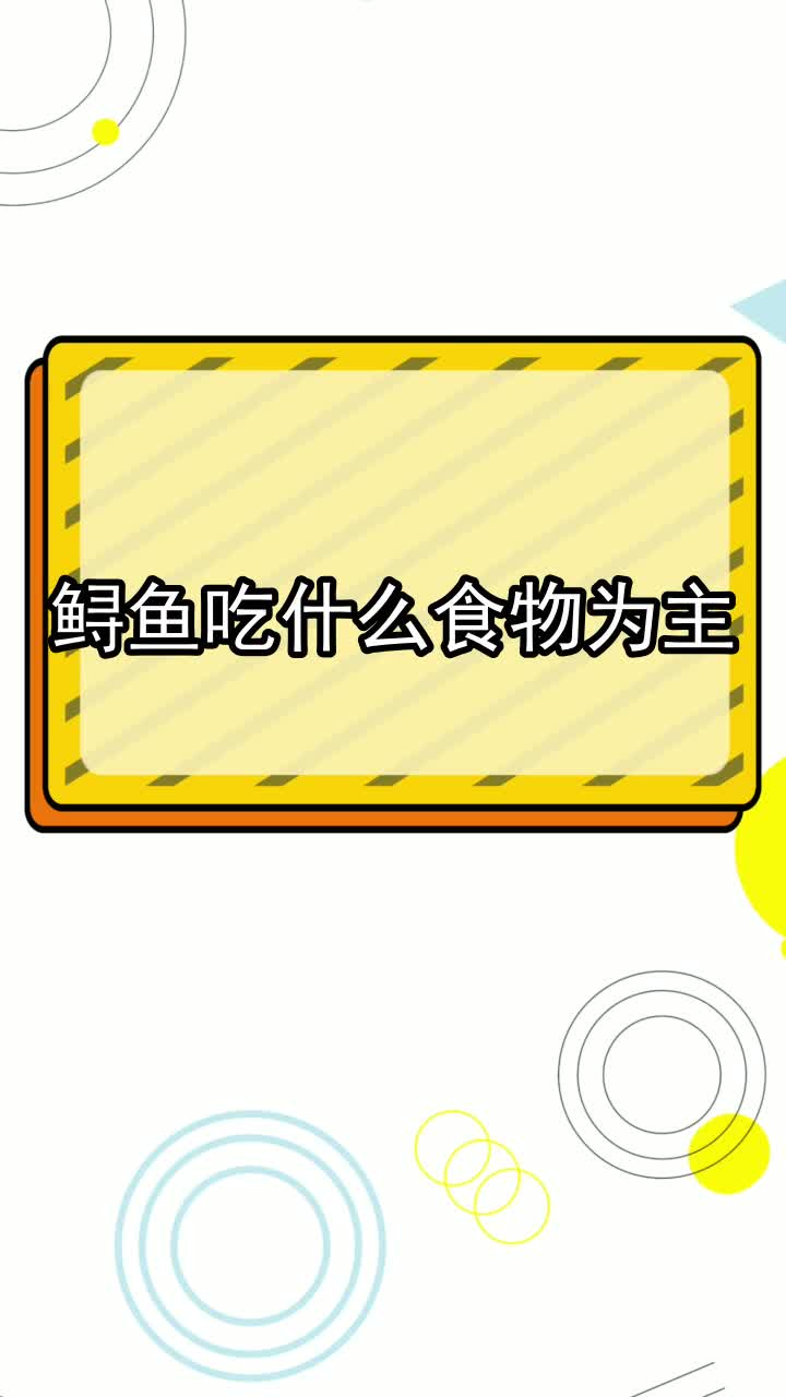 鲟鱼吃什么食物为主,你知晓了吗