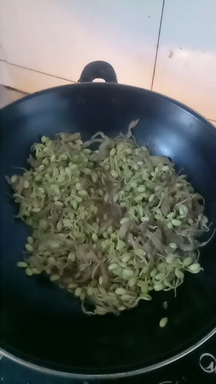 农村笨豆芽