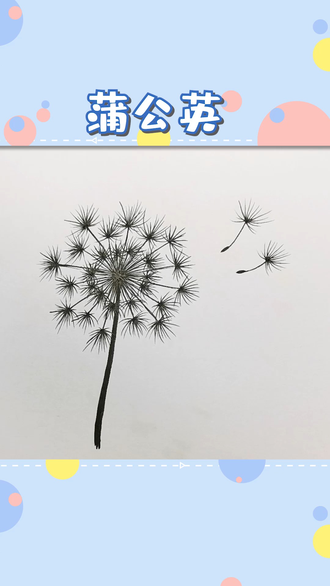 #简笔画#就要到蒲公英飘飞的季节了,教你画一朵可爱的蒲公英!