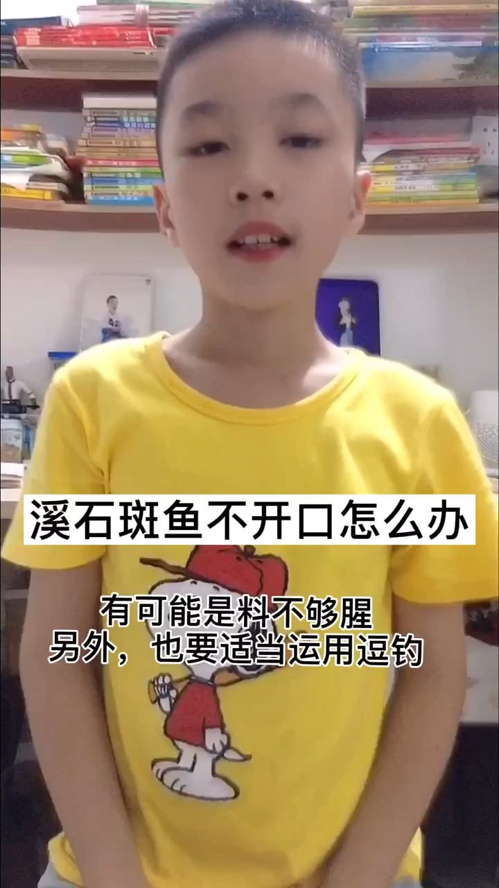 溪石斑鱼不开口怎么办