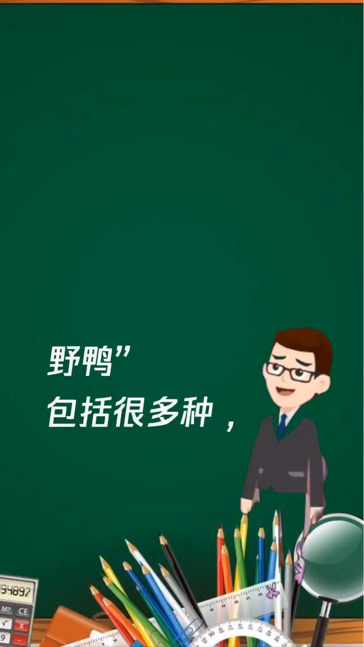野鸭属于是几级保护动物