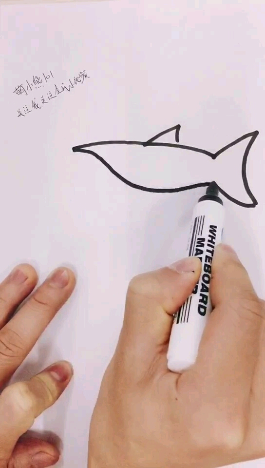 萌小熊简笔画教学,教你如何画鲨鱼啦