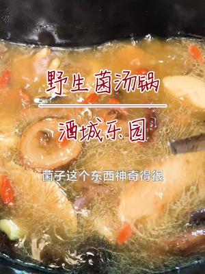 #泸州美食 有没有吃过这家菌汤的?